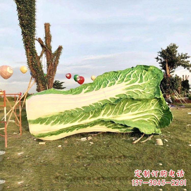 郴州新鲜白菜“精致生活”系列