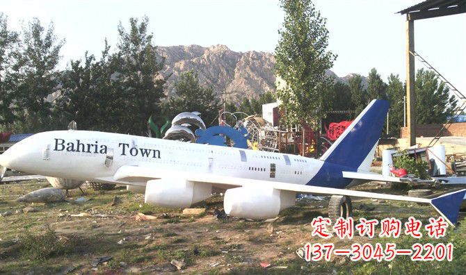 郴州静静躺在大地上的不锈钢飞机雕塑