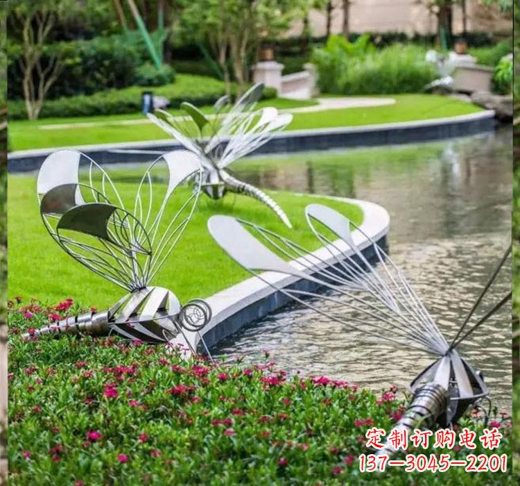郴州不锈钢蜻蜓一件完美的动物雕塑