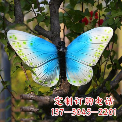郴州精致风韵,蓝白蝴蝶雕塑