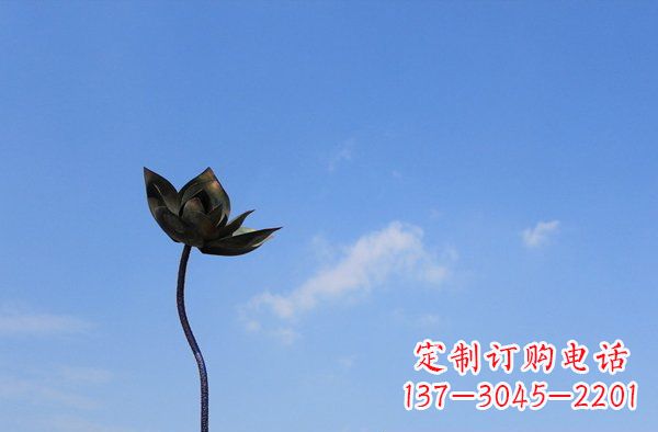 郴州公园不锈钢荷花雕塑