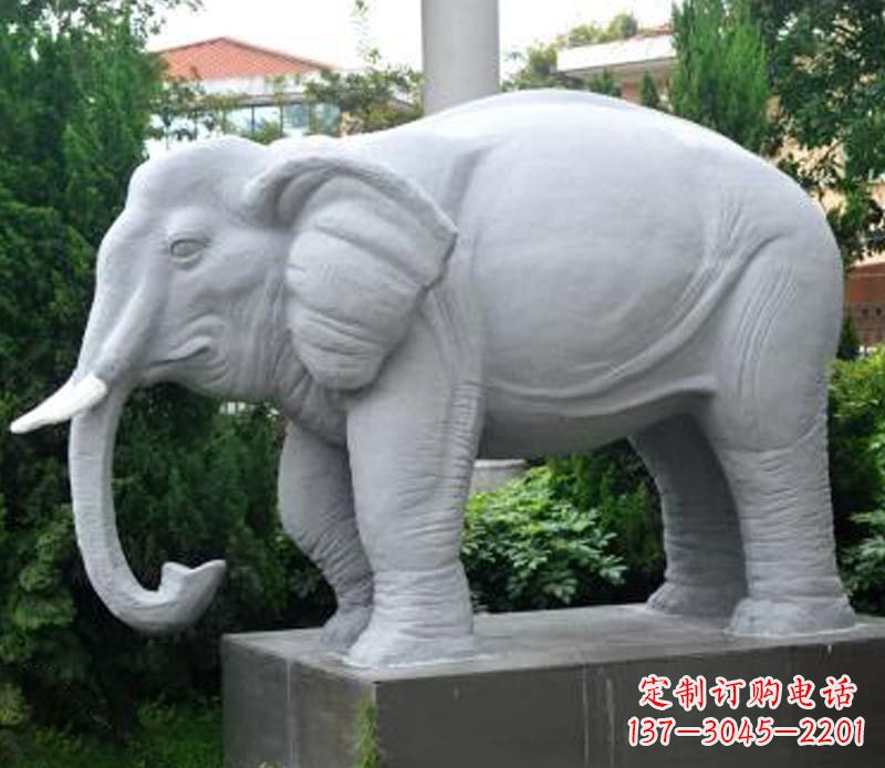 郴州公园动物大理石大象石雕 (5)