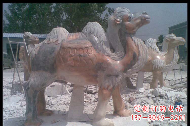 郴州公园动物骆驼石雕222