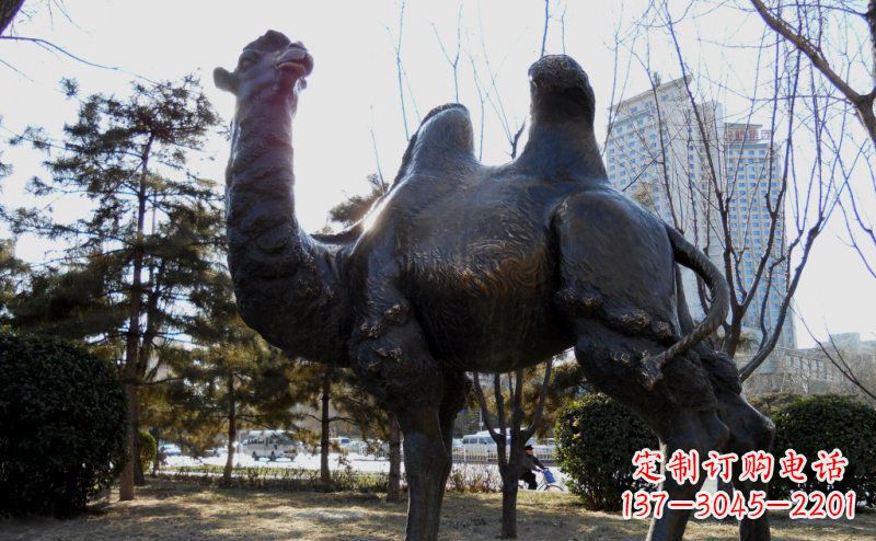 郴州公园骆驼动物铜雕 (5)