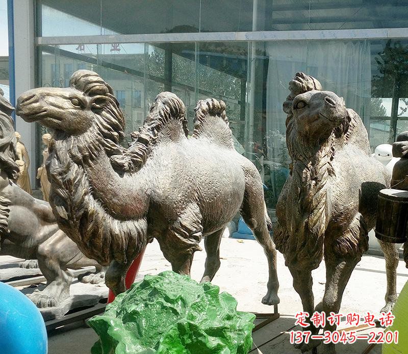 郴州公园骆驼动物铜雕 (2)