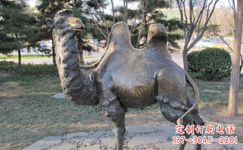 郴州公园骆驼动物铜雕 (4)