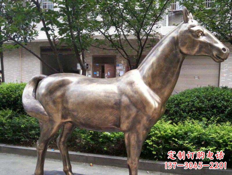 郴州精美铜雕动物