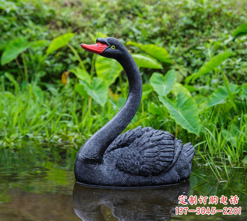 郴州黑天鹅仰脖款-园林水塘水景装饰动物摆件