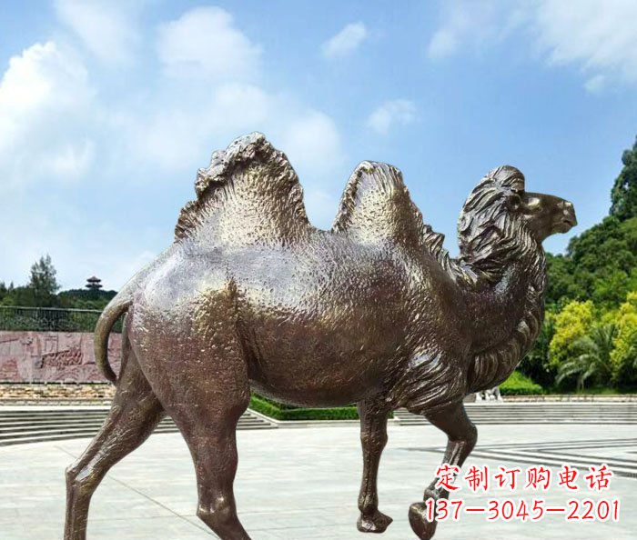 郴州欣赏骆驼美感,购买骆驼铜雕