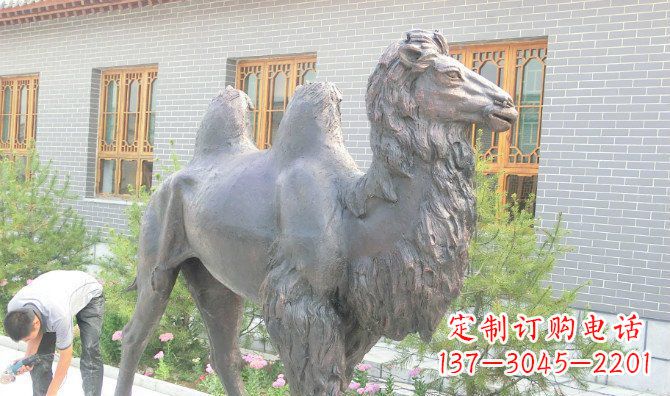 郴州精美的骆驼铜雕,提升您的公园气质