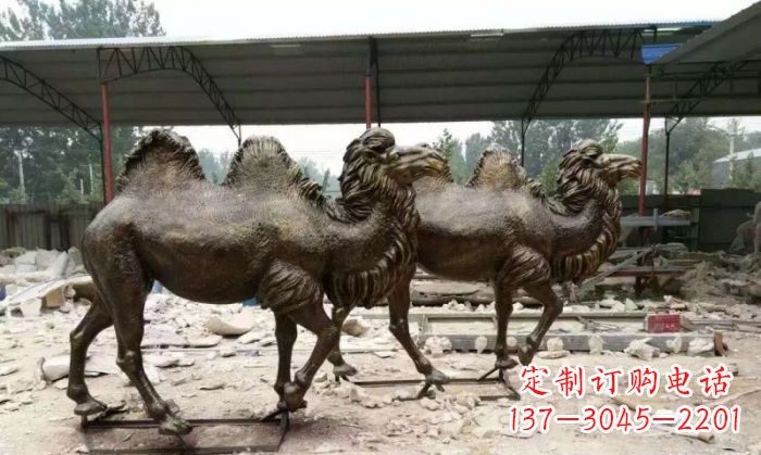 郴州骆驼动物铜雕 (4)