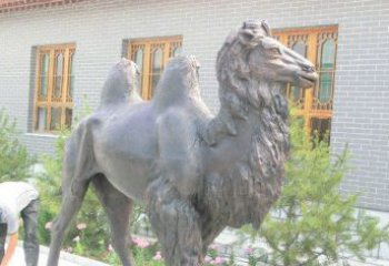 郴州精美的骆驼铜雕，提升您的公园气质