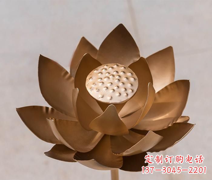 郴州铜雕景观荷花