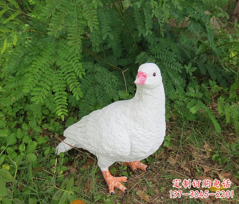 郴州潍坊青年路和平鸽灰姑娘雕塑
