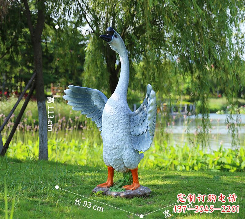 郴州站立的灰色展翅天鹅