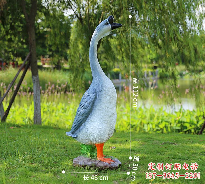 郴州站立立脖灰色天鹅